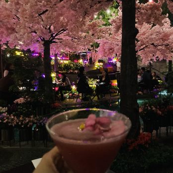 insideOUT - Cocktail & vibes ~ cherry blossom decorations - Lounges Near Me - San Diego, California insideOUT - Cocktail & vibes ~ cherry blossom decorations - Lounges Near Me - San Diego, California