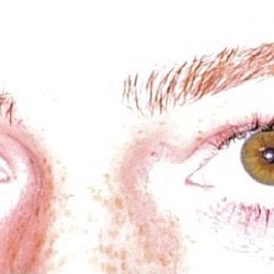 Brow & Spa - Lash lift + tint