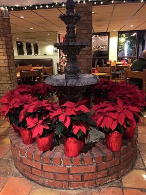 La Bodega Mexican Restaurant & Bar by null
