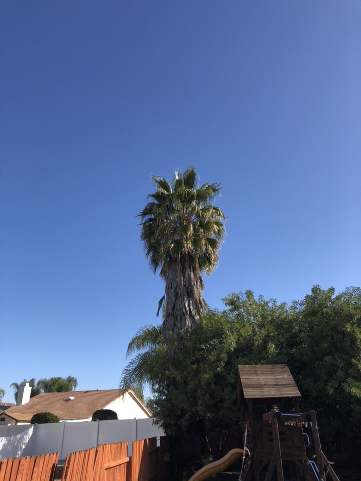 Ruben's Tree Service