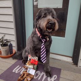 Pupper home fresh after her groom Pupper home fresh after her groom