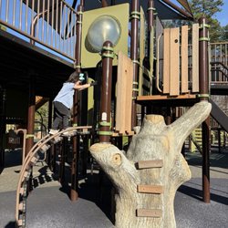 Sassafras All Children's Playground