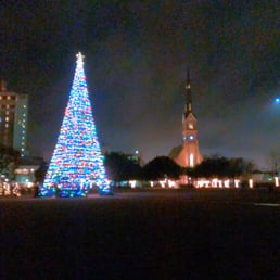 So pretty! So pretty!