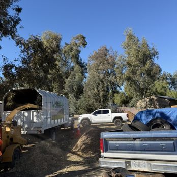 NGS Tree Services. - Tree Services Near Me - Moreno valley, California NGS Tree Services. - Tree Services Near Me - Moreno valley, California