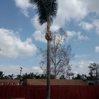 Pro Select Construction Services - After 12/16/17 - General Contractors Near Me - Escondido, California Pro Select Construction Services - After 12/16/17 - General Contractors Near Me - Escondido, California