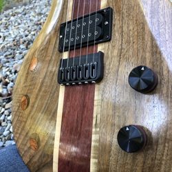 The Vintage Vu - Custom built guitar