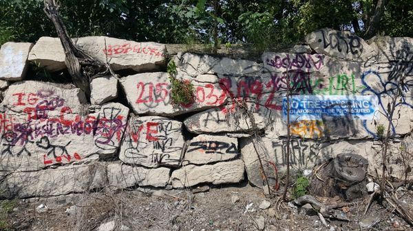 Graffiti Pier by null