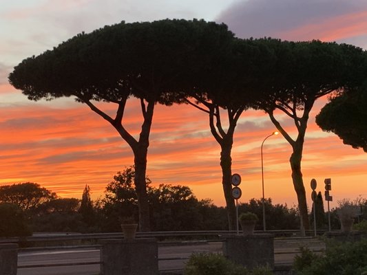 Ristorante Pagnanelli by null