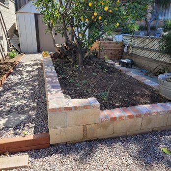 Moran Tree Service - Raised planter - Tree Services Near Me - Riverside, California Moran Tree Service - Raised planter - Tree Services Near Me - Riverside, California
