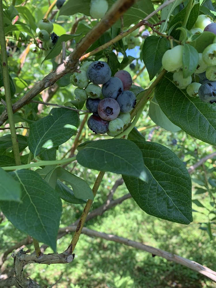 UNDERHILL FARM Updated July 2024 277 Lake Rd, Dryden, New York