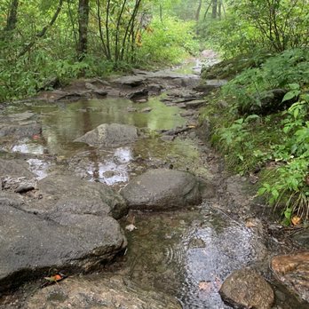 Mt Pisgah Campgrounds - Campgrounds Near Me - Canton, North Carolina