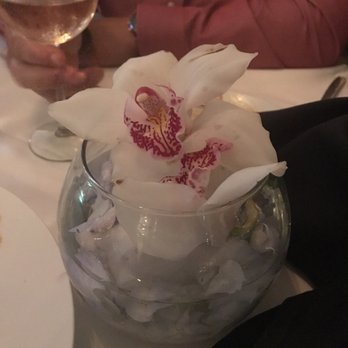 MesaMar Seafood Table - Real orchid centerpieces - Seafood Near Me - Coral Gables, Florida MesaMar Seafood Table - Real orchid centerpieces - Seafood Near Me - Coral Gables, Florida
