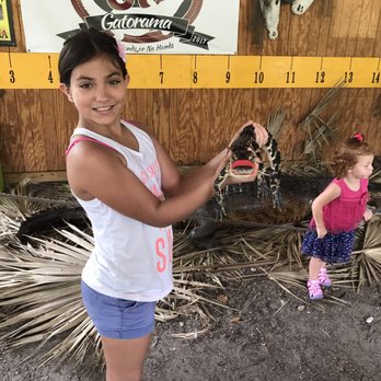 Gatorama - Kids can handle the Alligators! - Zoos Near Me - Palmdale, Florida Gatorama - Kids can handle the Alligators! - Zoos Near Me - Palmdale, Florida