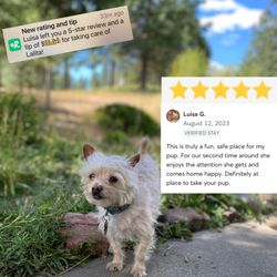 Cougar Creek Dog Resort - Customer Review