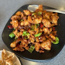 Sichuan Gourmet