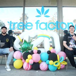 Tree Factory Dispensary