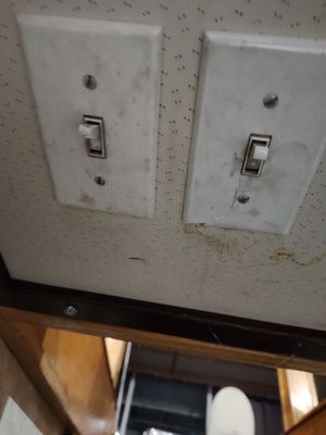 Shangri-la Boat Tour by null