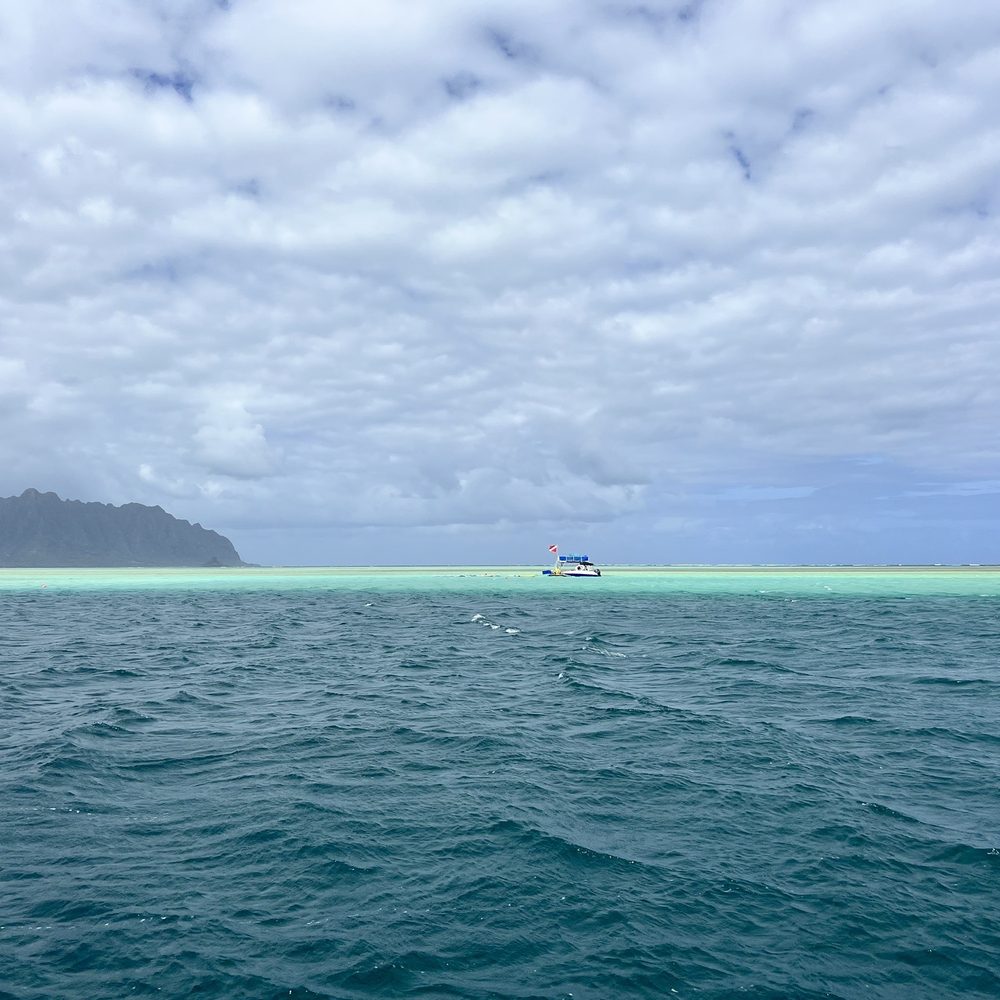 Captain Bruce - Boat Charters Near Me - Kaneohe, Hawaii Captain Bruce - Boat Charters Near Me - Kaneohe, Hawaii