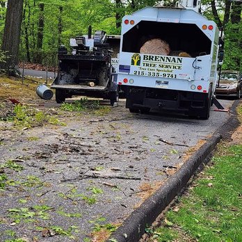 Brennan Tree Service - Tree Services Near Me - Hatboro, Pennsylvania