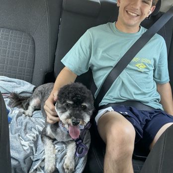 Sydnee's Pet Grooming - Recent cuts! - Pet Groomers Near Me - Irvine, California Sydnee's Pet Grooming - Recent cuts! - Pet Groomers Near Me - Irvine, California