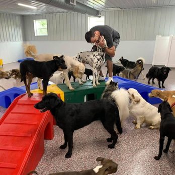 FIDO - Pet Training Near Me - Lancaster, Ohio
