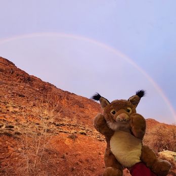 Moab Springs Ranch - Resorts Near Me - Moab, Utah Moab Springs Ranch - Resorts Near Me - Moab, Utah