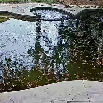 J's Pools & Spas - pool condition - Pool Cleaners Near Me - Houston, Texas J's Pools & Spas - pool condition - Pool Cleaners Near Me - Houston, Texas