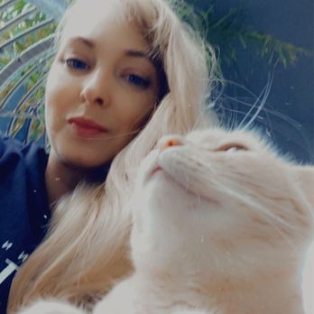 BEEVET Animal Hospital - My sweet gigi - Veterinarians Near Me - Austin, Texas BEEVET Animal Hospital - My sweet gigi - Veterinarians Near Me - Austin, Texas