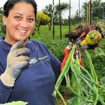 Diane Douglaston Catering - Chef Diane at the farm - Caterers Near Me Diane Douglaston Catering - Chef Diane at the farm - Caterers Near Me