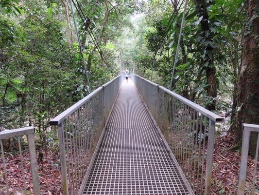 Mossman Gorge by null