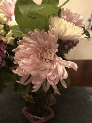 Flower Outlet & Gifts by null