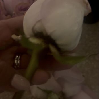 Perris Flowers - Floral Designers Near Me - Perris, California