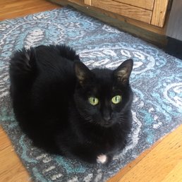 Coco