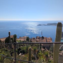 Le Jardin exotique