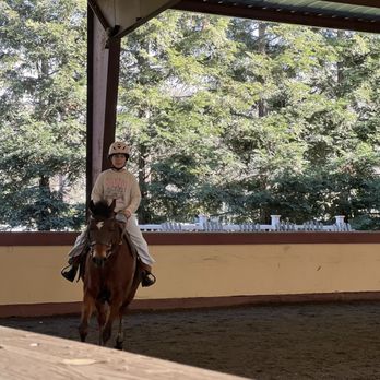 On The Bit - Horseback Riding Near Me - Clayton, California