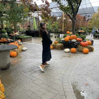 High Hand Nursery - Autumn decor! - Nurseries & Gardening Near Me - Loomis, California