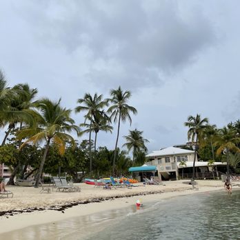 Cowpet Bay - The water is so warm, but full of seaweed - Beaches Near Me - Estate Bovoni, Virgin Islands