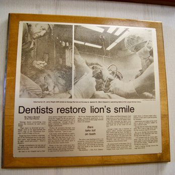 Precision Dental Associates - Newsworthy work by Dr. Klepacki - General Dentistry Near Me - Hadley, Massachusetts