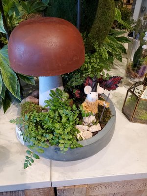Anthropologie by null