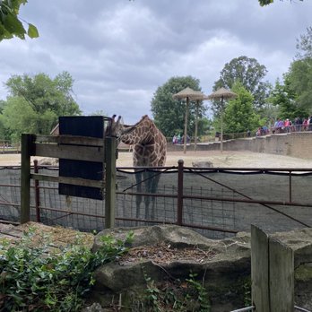 The Discovery Center - Zoos Near Me - Evansville, Indiana