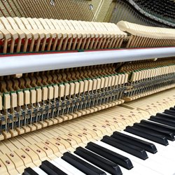Resonant Piano - Upright Piano Action.  When all the parts are not in alignment, the piano can feel and sound... wrong.