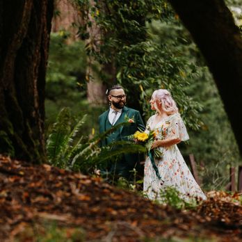Brandi Rollins Photography - Event Photography Near Me - Pinole, California Brandi Rollins Photography - Event Photography Near Me - Pinole, California