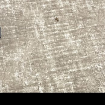 Club Studio - Poop on the gym floor!! Gross - Gyms Near Me - Irvine, California