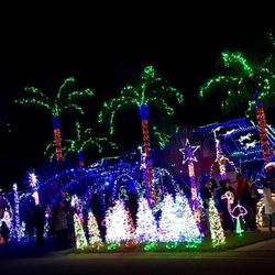 Christmas Light Fight Riverview