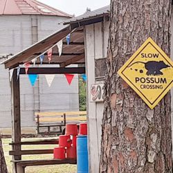 Hodges Strawberry Farm - Enjoy the country store experience, with no extra charge for country humor!