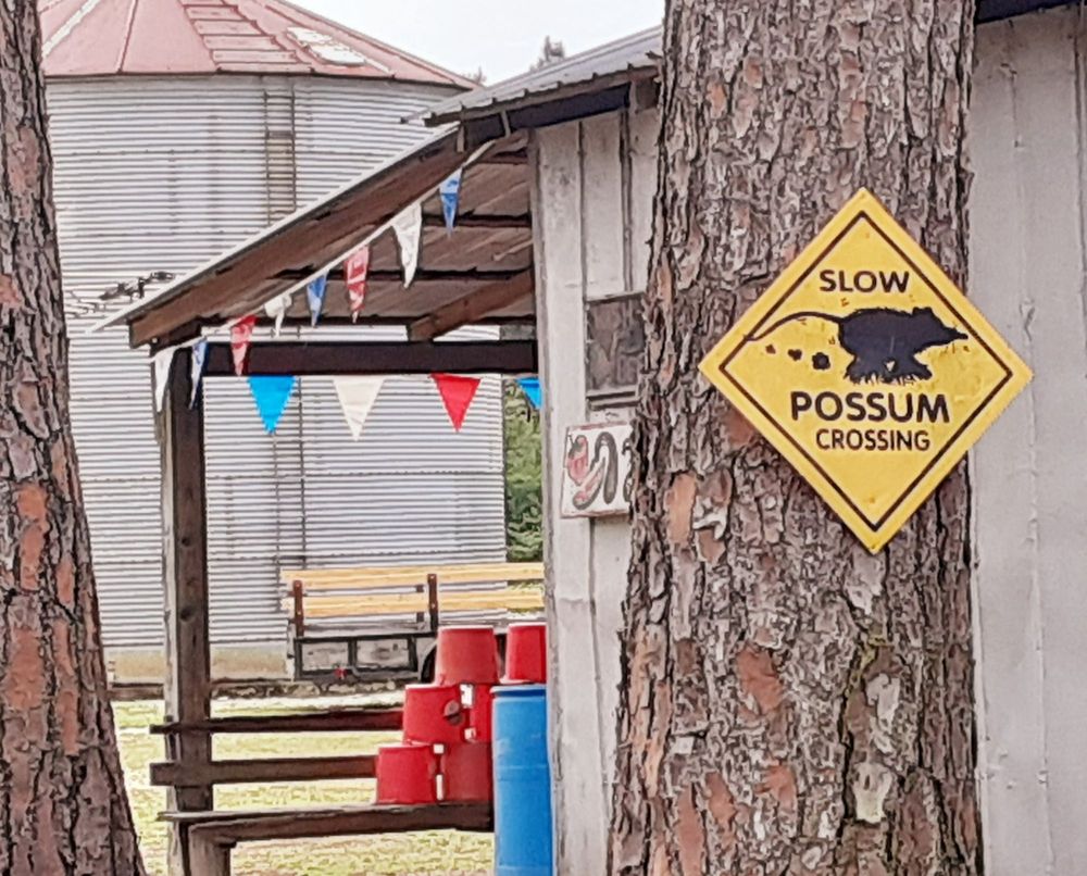 HODGES STRAWBERRY FARM Updated September 2024 8705 Ga HWY 21 N, Newington, Farms