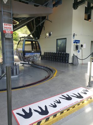 Christchurch Gondola by null