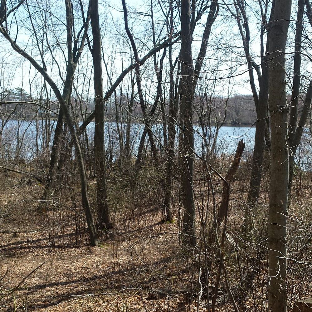 Southard's Pond - Lakes Near Me - Babylon, New York