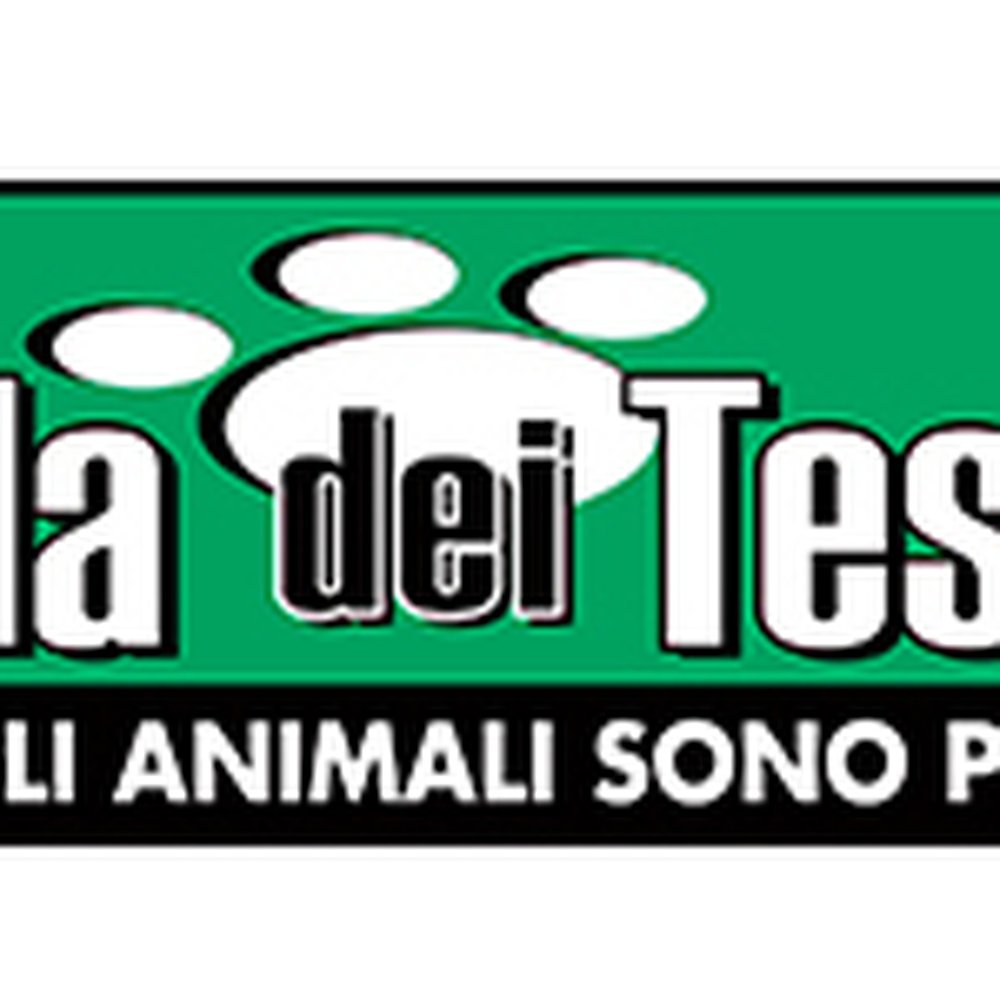 TOP 10 BEST Private Dog Training near Timoline, Brescia, Italy - Updated  2026 - Yelp, image size:1000x1000