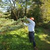 Wonderland Tree Care gift card